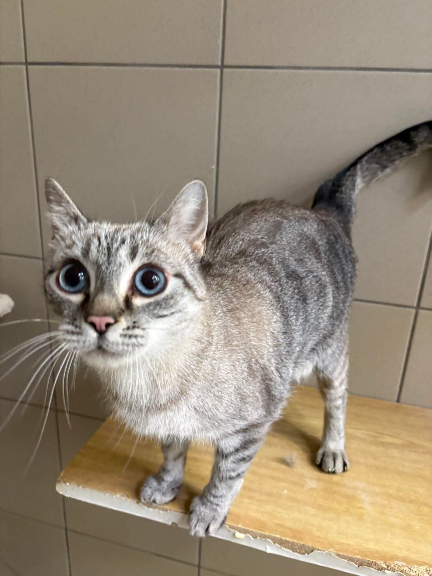 30bccd0438523aabd38b5f6bec199b46 (1)